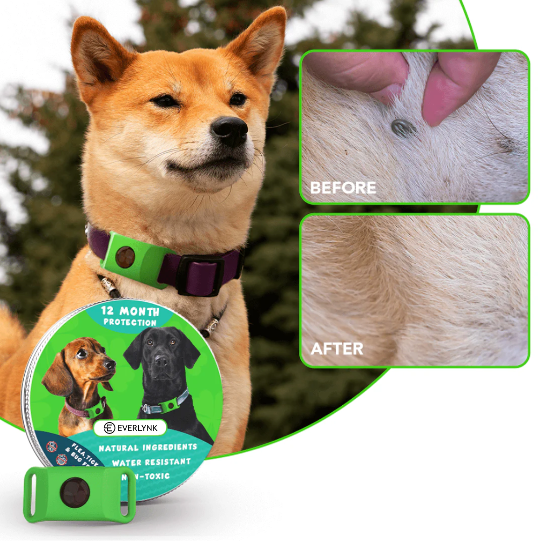 Everlynk™ Flea-Free Tag