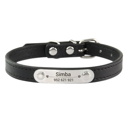 Personalized Dog Collar