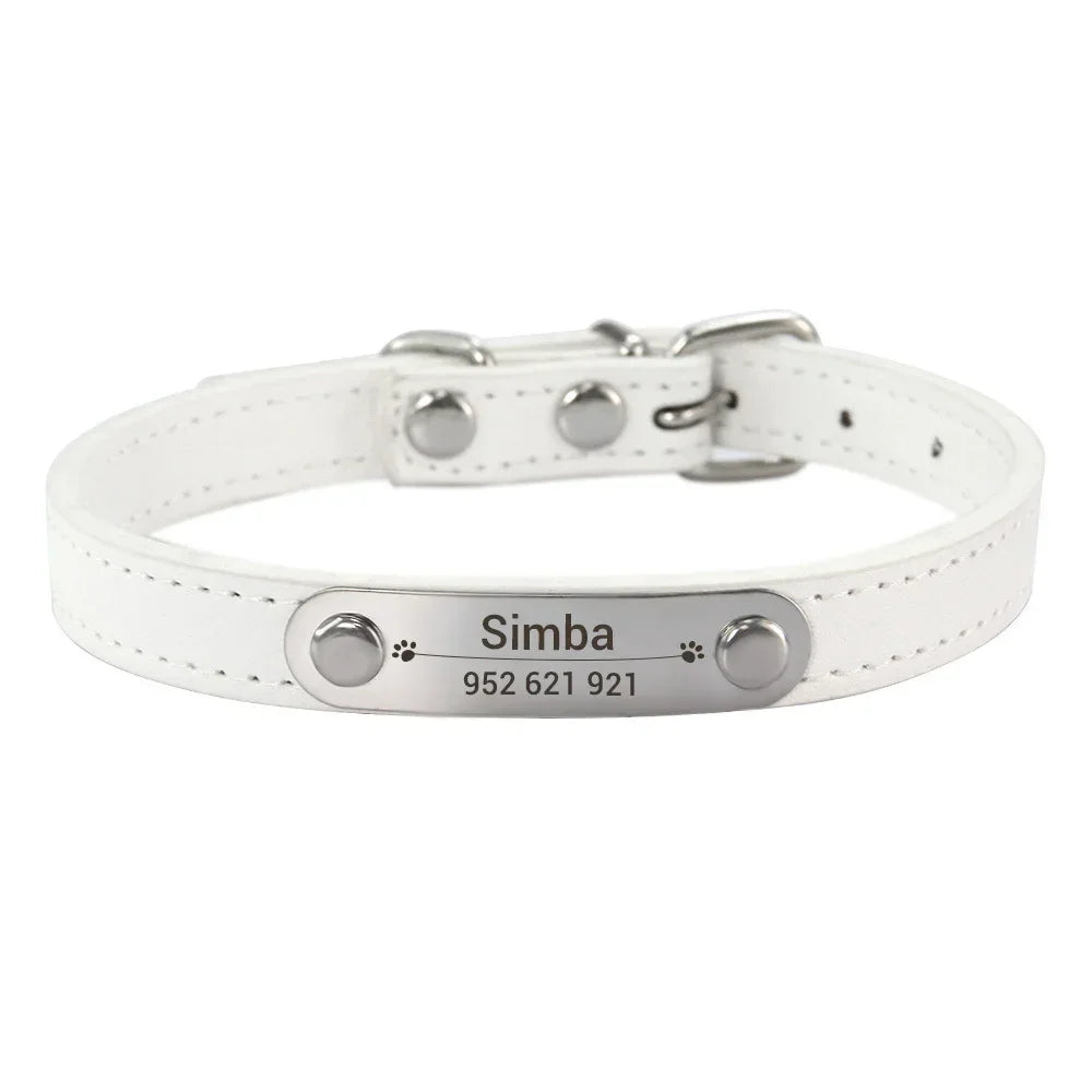 Personalized Dog Collar
