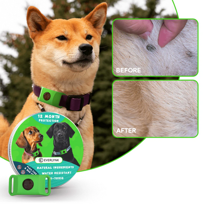 Everlynk™ Flea-Free Tag